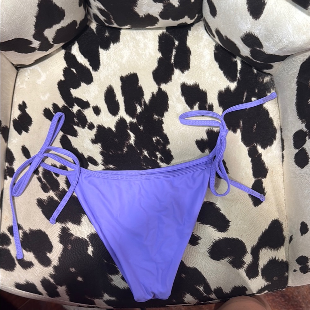 Purple Swimsuit bottom